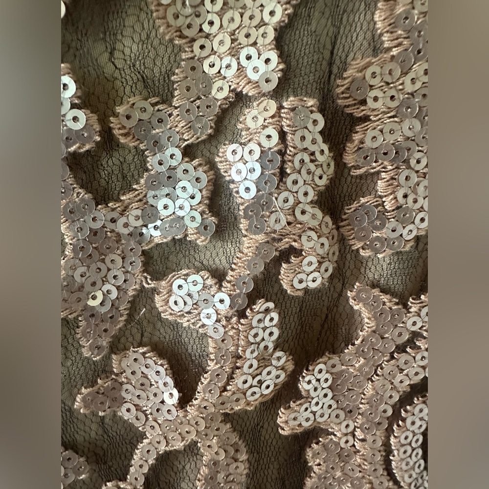 Tadashi Shoji Gold Lace Evening Gown - Picture 7 of 16